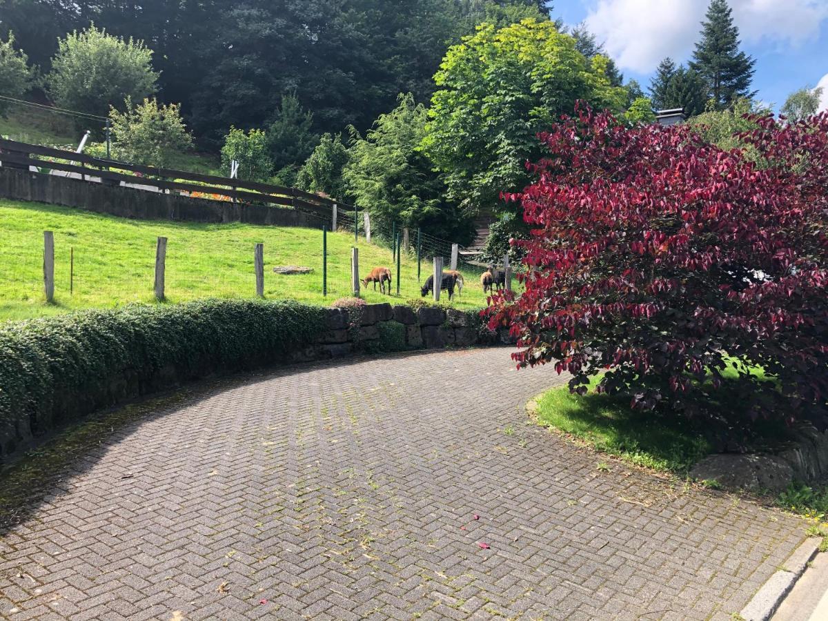Am Wald Mit Garten & Hot-tub & Alpakas * Meschede