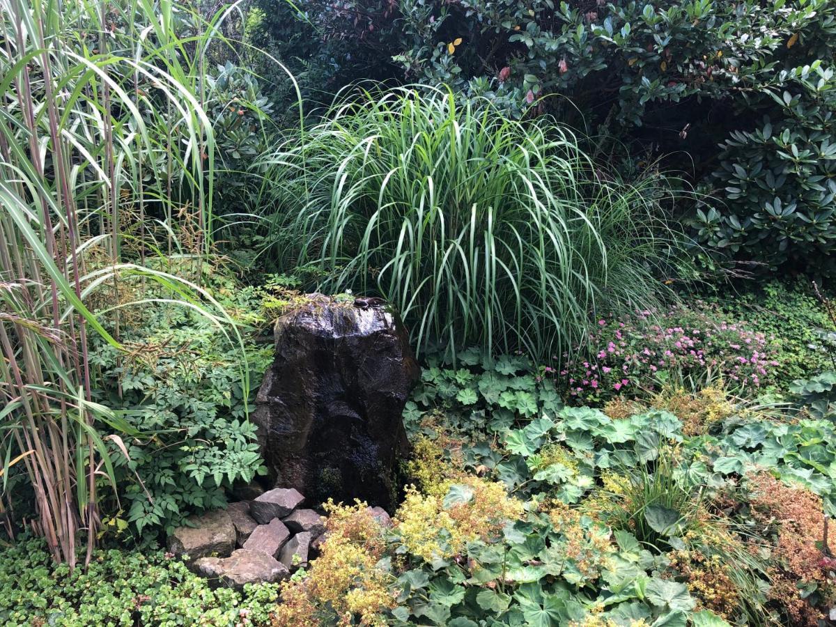Apartment Am Wald Mit Garten & Hot-tub & Alpakas *