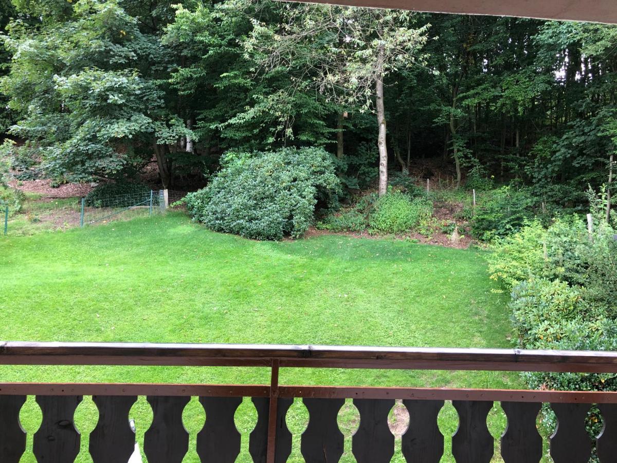 Am Wald Mit Garten & Hot-tub & Alpakas Meschede