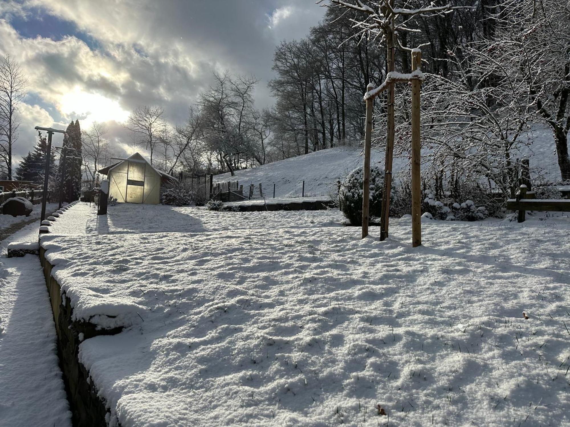 Am Wald Mit Garten & Hot-tub & Alpakas Apartment Meschede